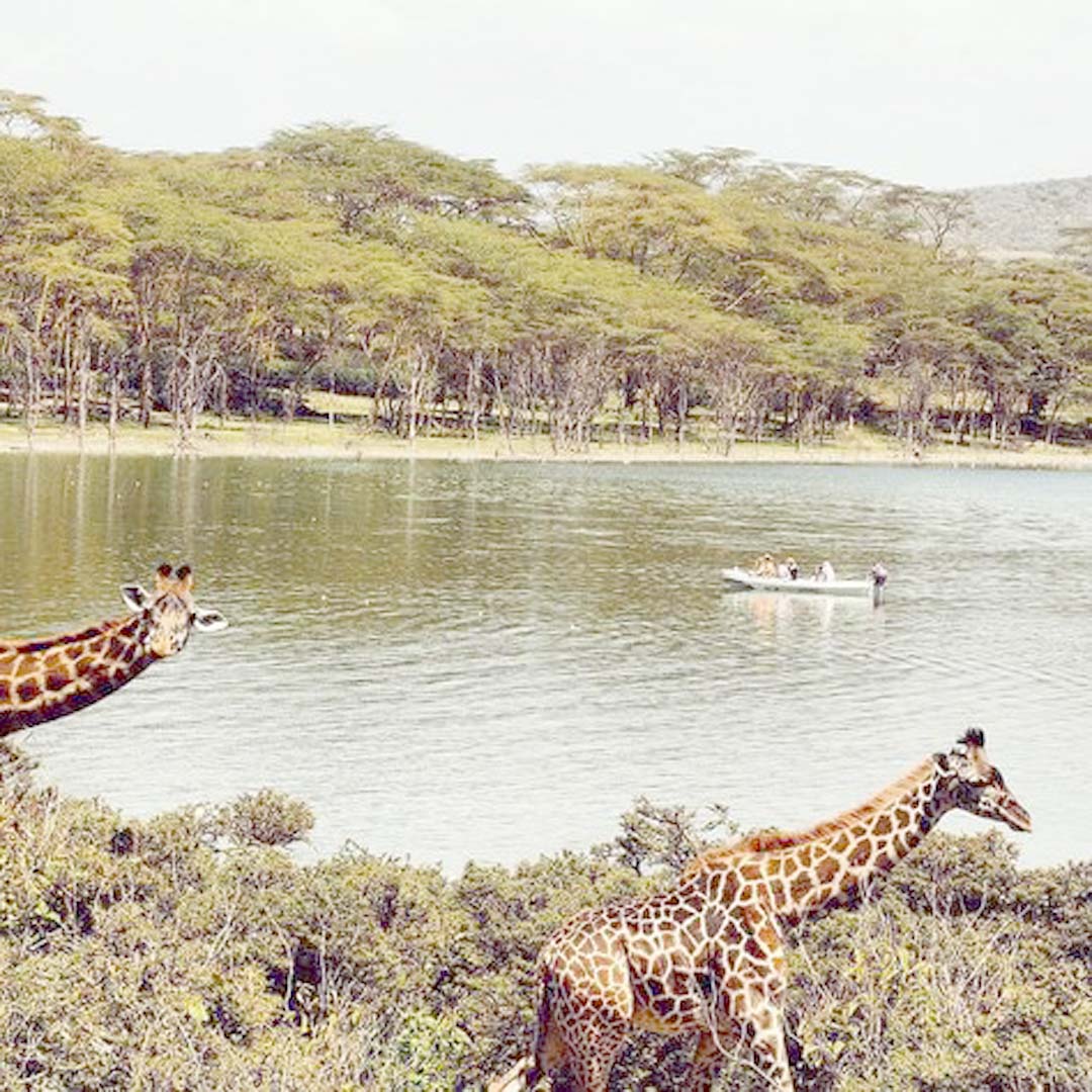 Lake Naivasha